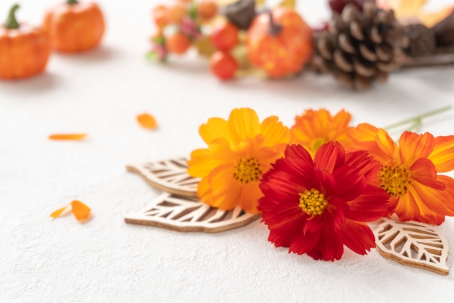 我慢しない生き方　　嫌なことは嫌と言っていい