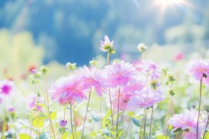 心が満たされないあなたへ