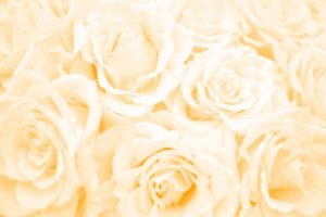 相手の良い面を引き出す