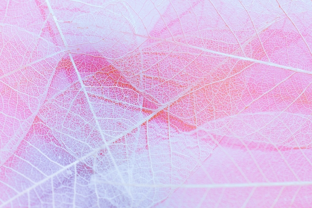 相手を褒めよう！