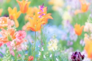 人生を変える魔法の言葉