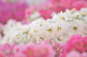 人生を変える魔法の言葉