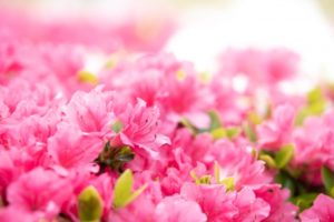 人生を変える魔法の言葉