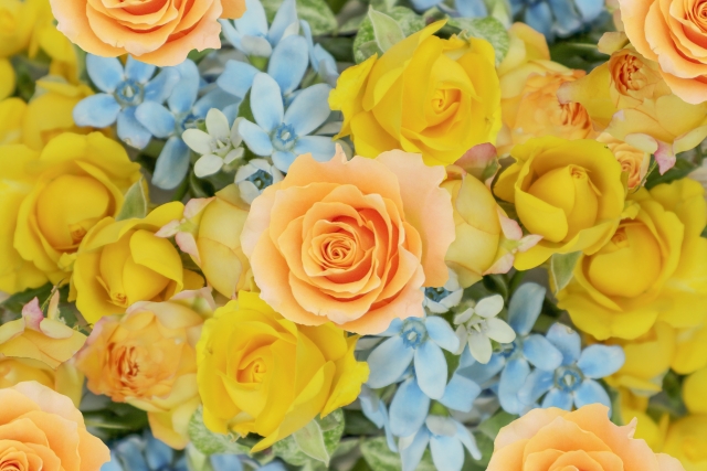 日常は幸せの宝庫　幸せの見つけ方　運気が上がる