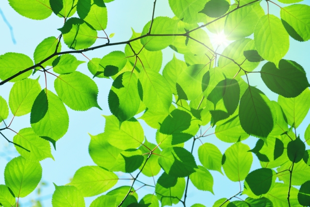 手放すほどにうまくいく　運気が上がる方法　引き寄せ