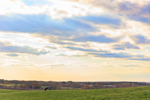 心が晴れやかになる言葉 心が軽くなる 元気が出る言葉 勇気が出る言葉