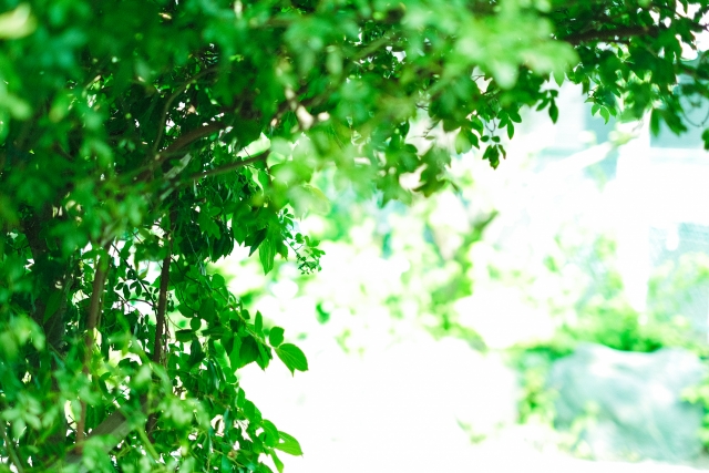 波動　波動の法則　人生を変える　運気をあげる