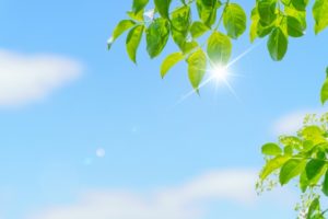 運気が上がる　好きを我慢しない　好きなことで生きていく　人生を変える方法　願いを叶える方法　願望実現　願望成就