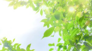 新しい挑戦　スタート　人生を変える　願いを叶える　コンフォートゾーン　変わる勇気　運気を上げる