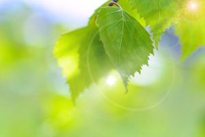 固定観念を外す　コンフォートゾーンを超える　人生を変える　願いを叶える　願いが叶う　