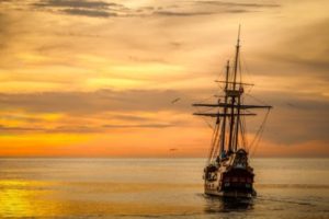 オーニソガラム　才能開花　才能が花開く　天性　生まれ持った才能　お役目　自分の魅力　生まれた意味