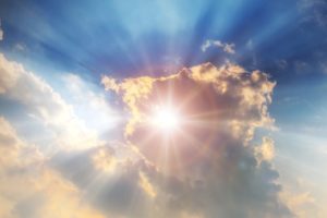 生命の樹　占い　願いが叶う占い師　願いを叶える占い師　マスターメンター　