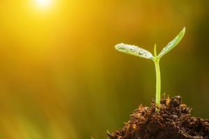 人生を変える言葉　願いが叶う言葉　願いを叶える言霊　人生を変える言霊　奇跡を起こす言葉